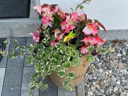 Impressionen