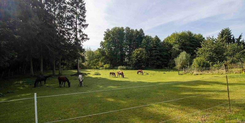 Mögliche Tierhaltung