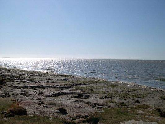 Strand Hilgenriedersiel