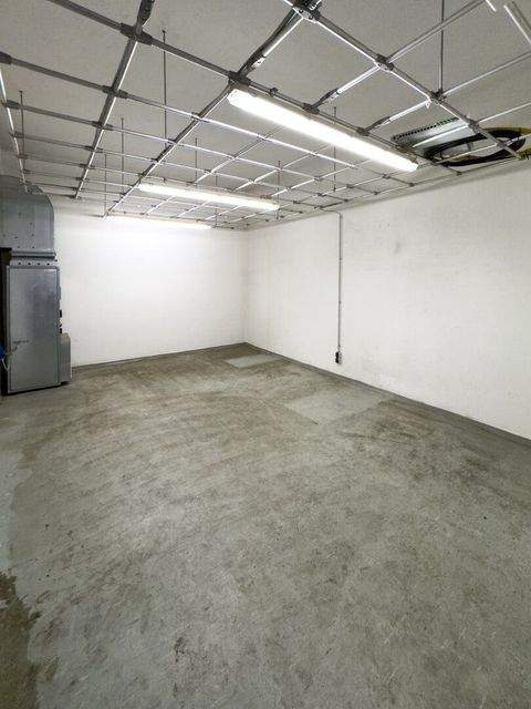 Hallein Halle, Hallein Hallenfläche