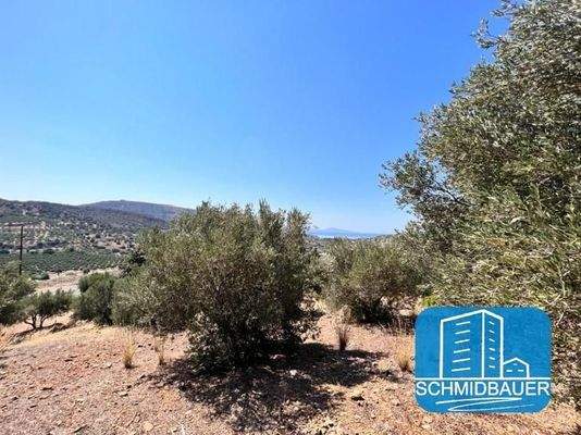 Kreta, Agia Galini: Grundstück in wunderschöner Lage zu verkaufen