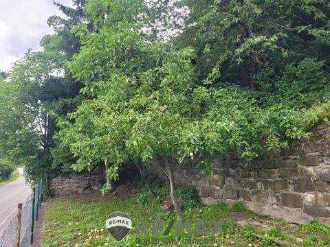 Traisen Grundstücke, Traisen Grundstück kaufen