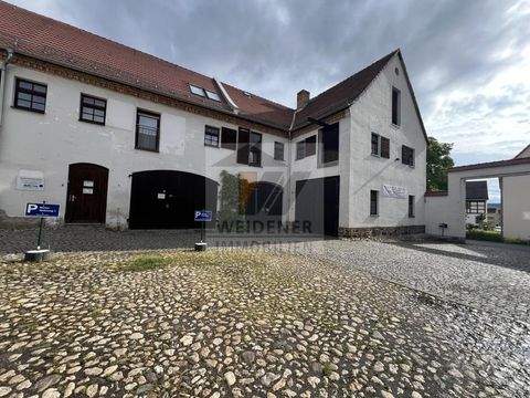 Gera Halle, Gera Hallenfläche