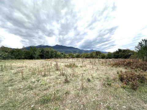 Bansko Bauernhöfe, Landwirtschaft, Bansko Forstwirtschaft