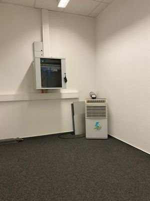 IMG_2038.jpeg
