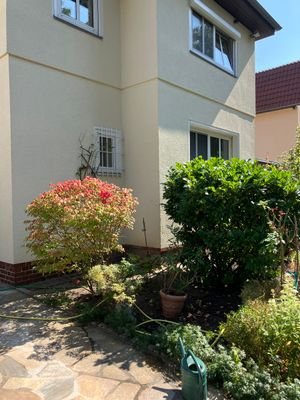 Hausansicht Vorgarten