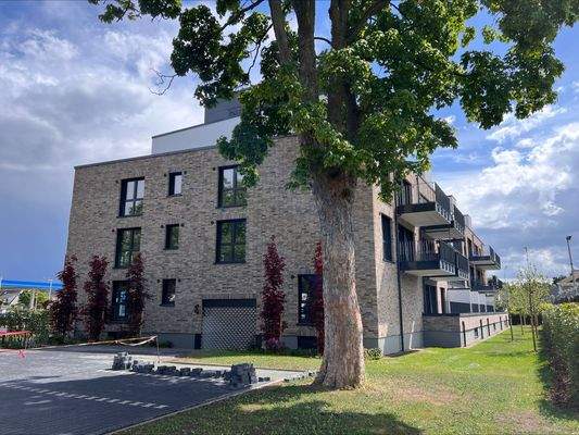 processed-FAAEE71E-1023-448C-B04B-32720C083943.jpe