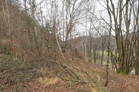 Marktschellenberg Bauernhöfe, Landwirtschaft, Marktschellenberg Forstwirtschaft