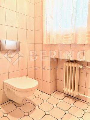 Gästetoilette m. Tageslicht