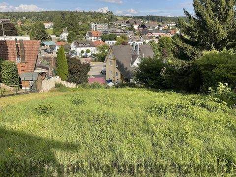Waldachtal Grundstücke, Waldachtal Grundstück kaufen