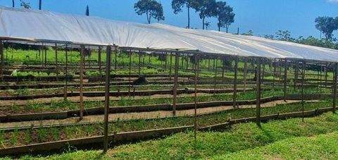 Itacoatiara Grundstücke, Itacoatiara Grundstück kaufen