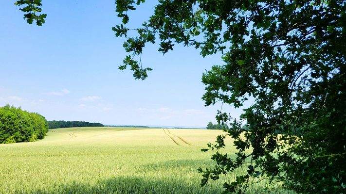 Naturparadies Dassow