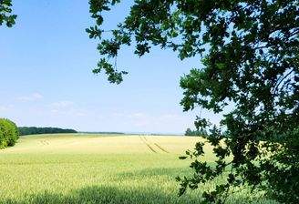 Naturparadies Dassow