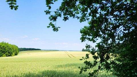 Nordwestmecklenburg - Landkreis - Dassow Grundstücke, Nordwestmecklenburg - Landkreis - Dassow Grundstück kaufen