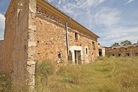 Campos Häuser, Campos Haus kaufen