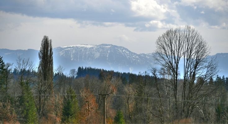 Ausblick