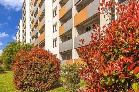 Dresden Wohnungen, Dresden Wohnung mieten