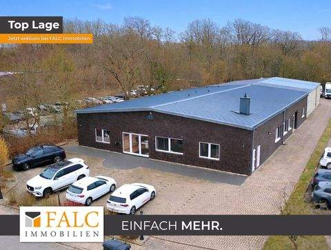 Bad Oldesloe Halle, Bad Oldesloe Hallenfläche