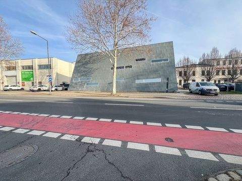 Dresden Halle, Dresden Hallenfläche