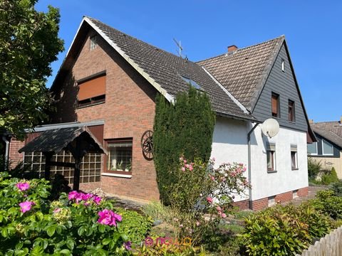 Elbe Häuser, Elbe Haus kaufen