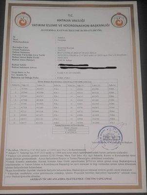 Ruhsat ALF - Kopie.jpg