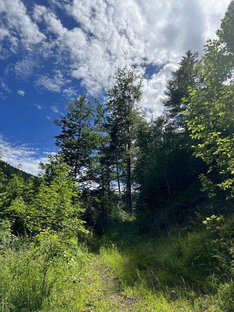 Veitschbach Bauernhöfe, Landwirtschaft, Veitschbach Forstwirtschaft