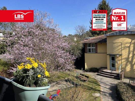 Blick in den Garten vom Balkon