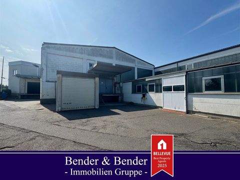 Wissen VG Halle, Wissen VG Hallenfläche