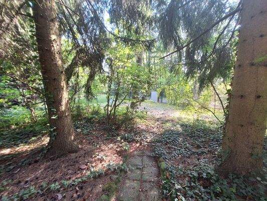 Blick von der Terrasse