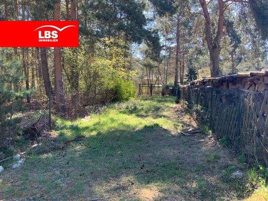 Zufahrt, Blick zum Grundstück