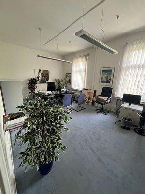 Helles Büro mit Pflanzen