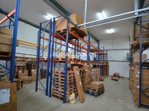 Barsbüttel Halle, Barsbüttel Hallenfläche