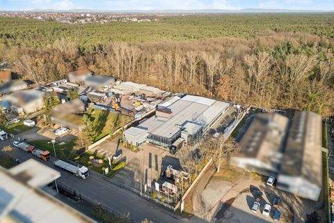 Neustadt an der Weinstraße Renditeobjekte, Mehrfamilienhäuser, Geschäftshäuser, Kapitalanlage