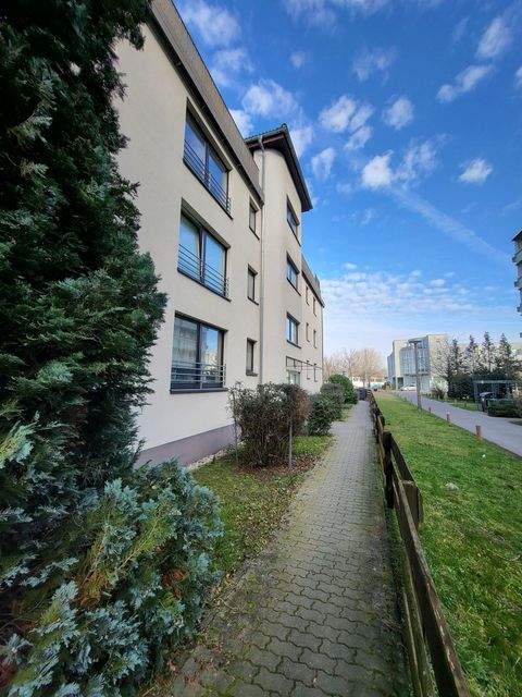 Dessau-Roßlau Wohnungen, Dessau-Roßlau Wohnung mieten