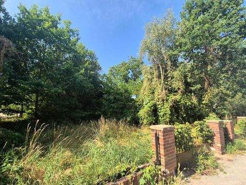 Forst (Lausitz) Grundstücke, Forst (Lausitz) Grundstück kaufen