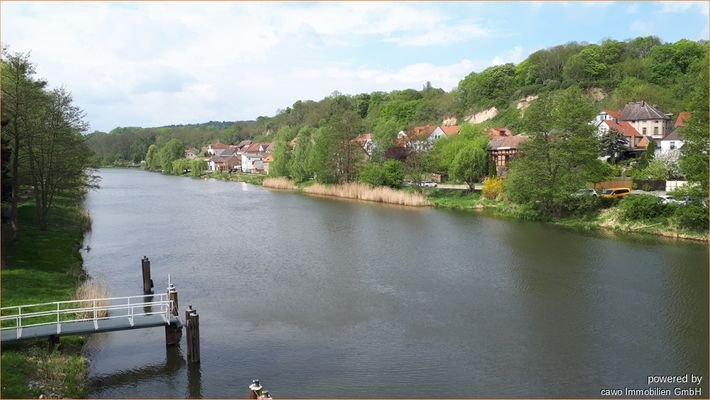 Alte Oder