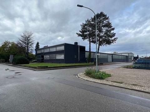 Neuried Halle, Neuried Hallenfläche