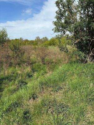 Blick auf das Grundstück