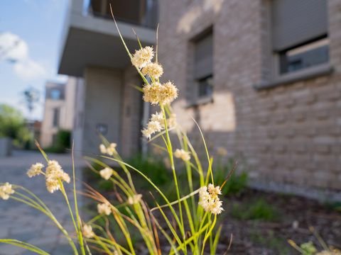 Kappeln Wohnungen, Kappeln Wohnung kaufen