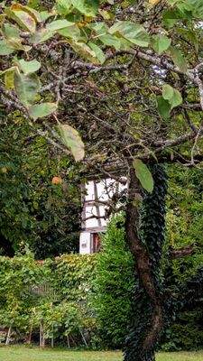 Blick zum alten Wasserturm