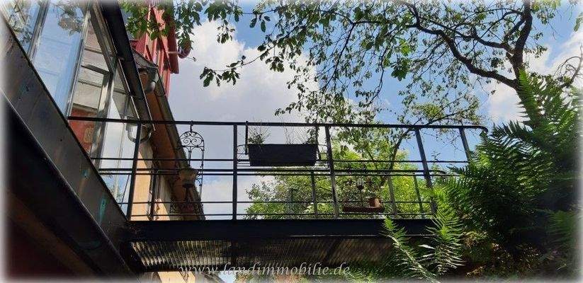 Der Blick zum Übergang Wintergarten - Garten