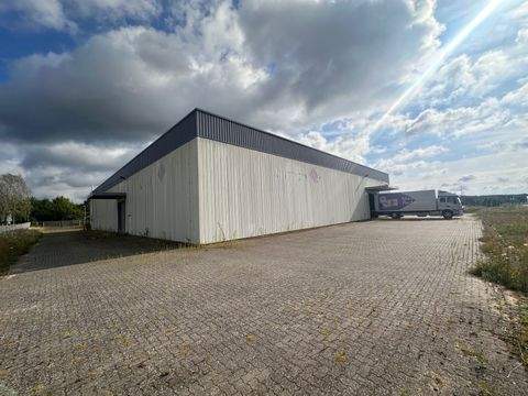 Heiligengrabe Halle, Heiligengrabe Hallenfläche