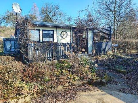 Lohmen Bauernhöfe, Landwirtschaft, Lohmen Forstwirtschaft