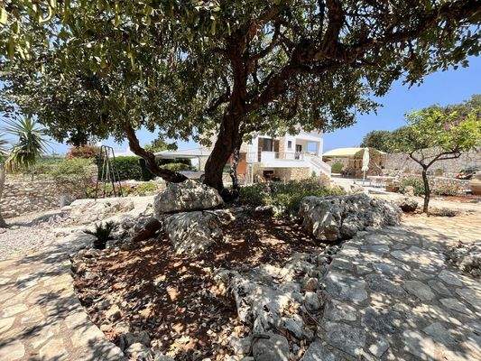 Deatched House For Sale In Plaka image00048.jpg