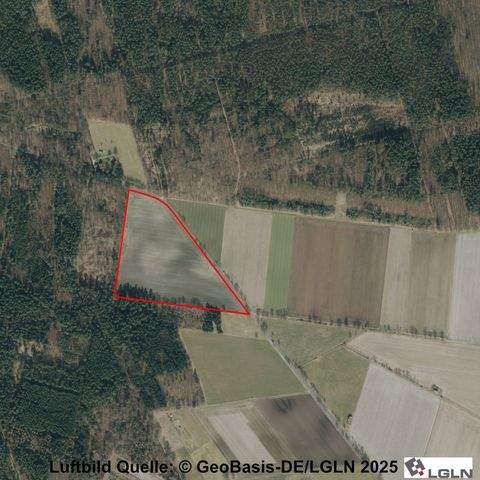 Uetze Bauernhöfe, Landwirtschaft, Uetze Forstwirtschaft