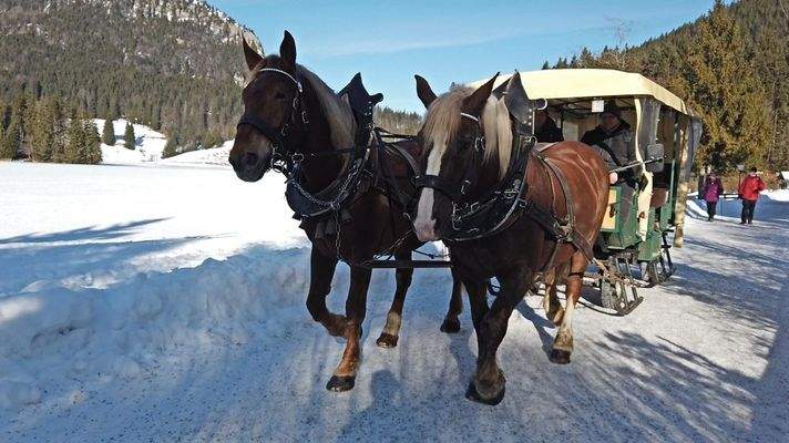 Spitzingkutscher 2020 Schliersee 4 (c) Judith Weber