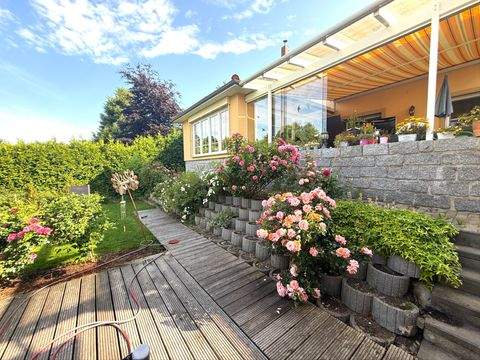 Dresden Häuser, Dresden Haus kaufen