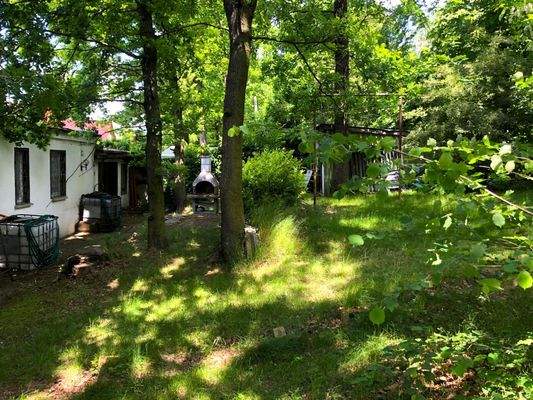 hinterer Garten mit Zugang zum Wald