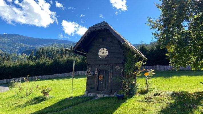 Bild 8