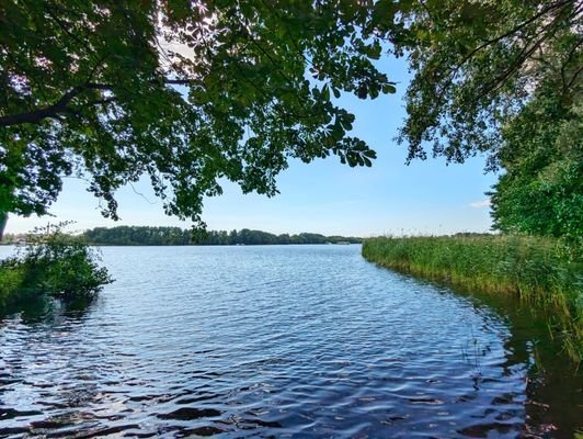 Umgebungsbild Möllenzugsee (Dahme) Wasserzugang 3 